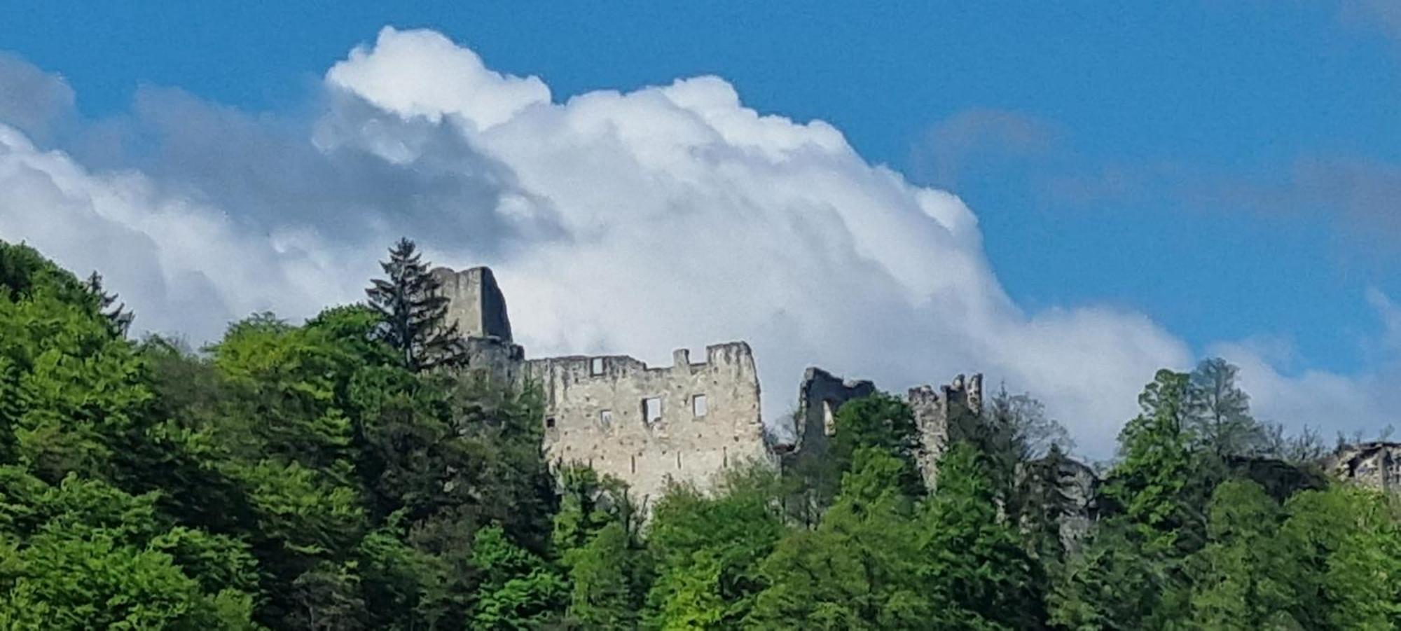 Studio Apartment Old Town Castle Samobor Exterior photo